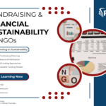 Fundraising and Financial Sustainability for NGOs